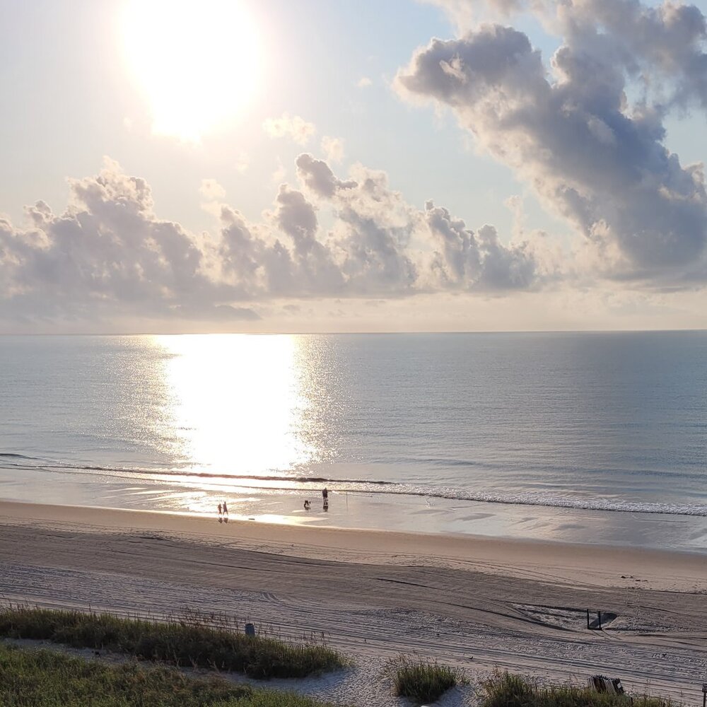 Meet your Posher, Jen